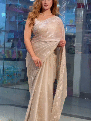 Party Modern Embroidered with Heavy Border Organza Brown Saree with Unstitched Blouse