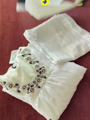 Royal Weave – Pure Chinnon Handwork Suit | Ethnic Elegance With Artisanal Grace