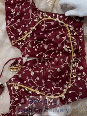 Pure Zimmy Choo Silk Saree with 3MM Sequin Embroidery & Stitched Blouse – Free Shipping | Affordable Sarees Online