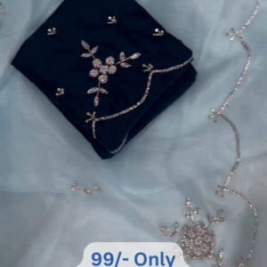 Special Velvet Blouse Saree – Premium Shimmery Organza Silk With Heavy Work & Exclusive Pallu Border ✨