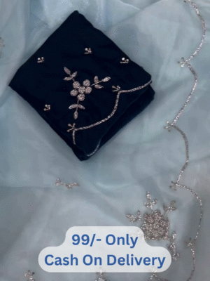 Special Velvet Blouse Saree – Premium Shimmery Organza Silk With Heavy Work & Exclusive Pallu Border ✨
