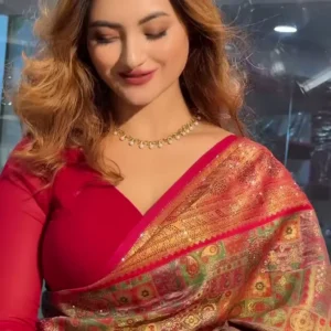 Elegant Floral Printed Zari Pashmina Saree for Timeless Indian Elegance