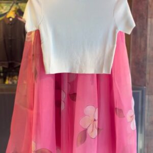 Elegant Women’s Organza Skirt with Top 🤍💖 – Party & Festive Wear